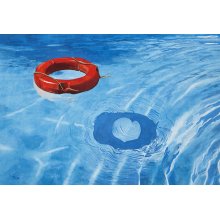 John Kerr | Fine art paintings